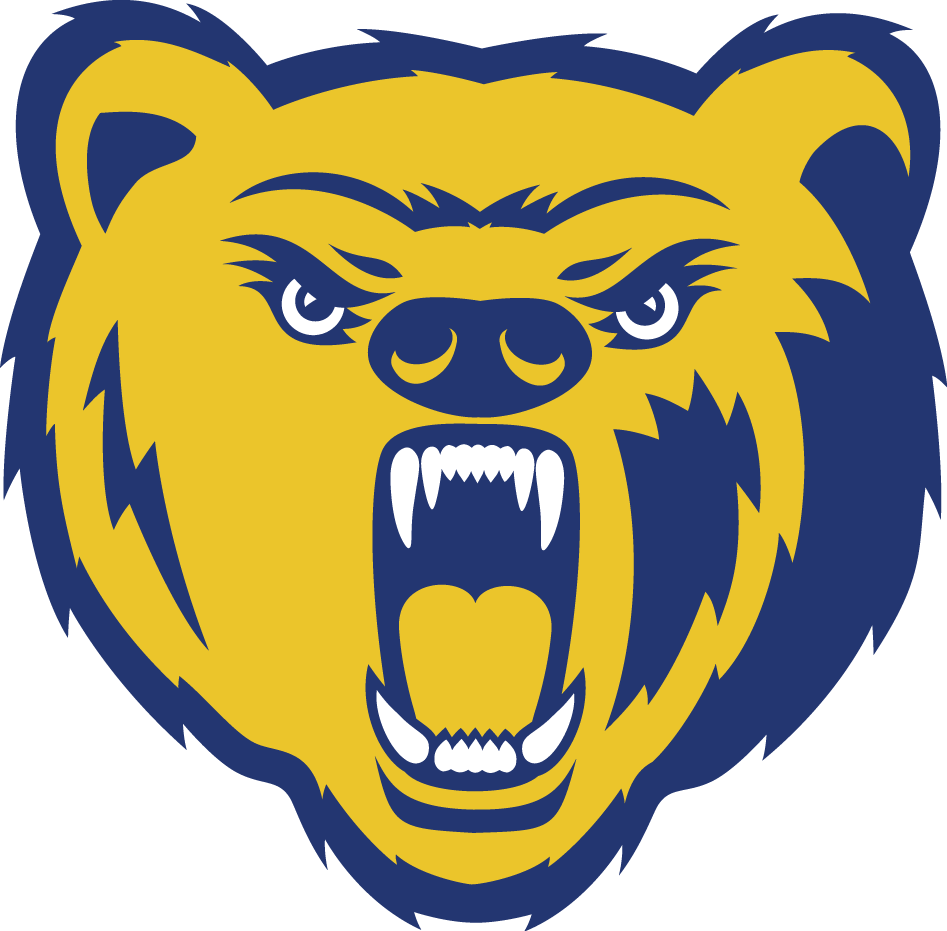 Northern Colorado Bears 2004-2009 Secondary Logo iron on transfers for T-shirts